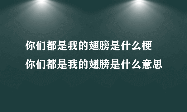 你们都是我的翅膀是什么梗 你们都是我的翅膀是什么意思