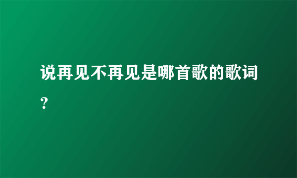 说再见不再见是哪首歌的歌词？