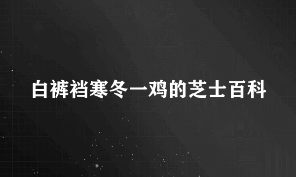 白裤裆寒冬一鸡的芝士百科