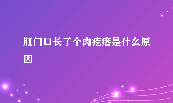 肛门口长了个肉疙瘩是什么原因