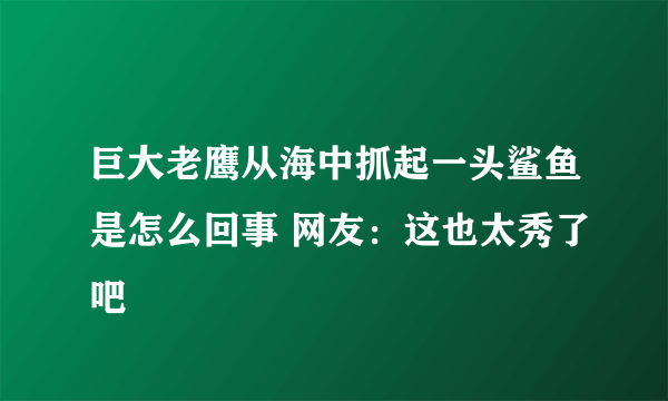 巨大老鹰从海中抓起一头鲨鱼是怎么回事 网友：这也太秀了吧