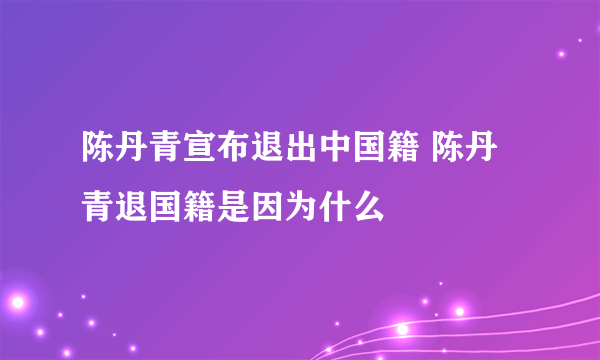 陈丹青宣布退出中国籍 陈丹青退国籍是因为什么