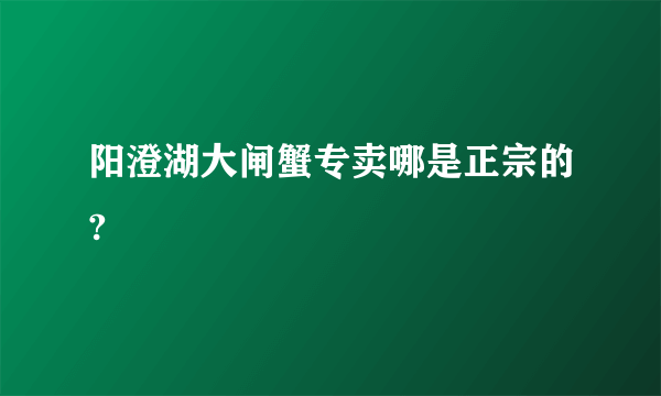 阳澄湖大闸蟹专卖哪是正宗的?