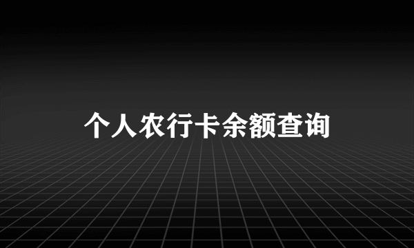 个人农行卡余额查询