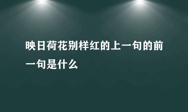 映日荷花别样红的上一句的前一句是什么