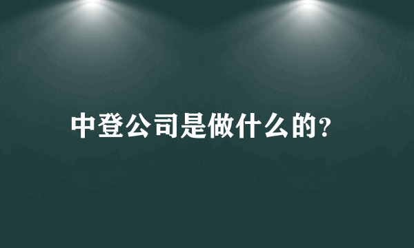 中登公司是做什么的？