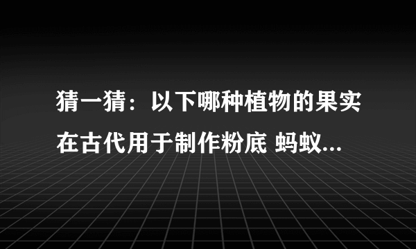 猜一猜：以下哪种植物的果实在古代用于制作粉底 蚂蚁庄园8月14日答案最新