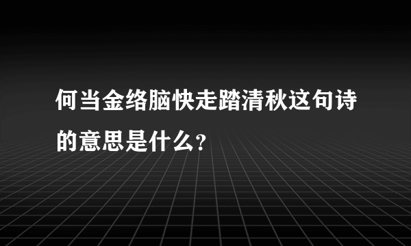 何当金络脑快走踏清秋这句诗的意思是什么？