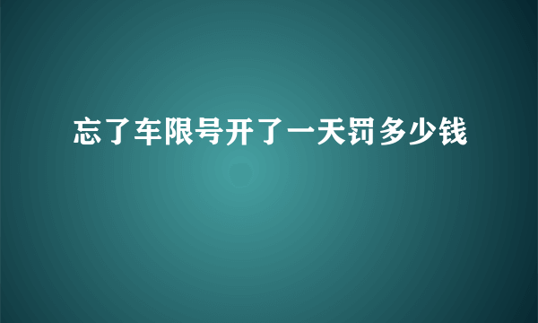 忘了车限号开了一天罚多少钱