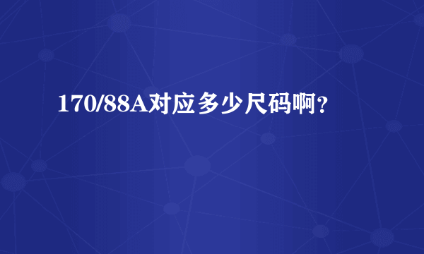 170/88A对应多少尺码啊？