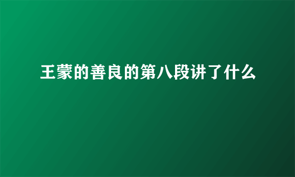 王蒙的善良的第八段讲了什么