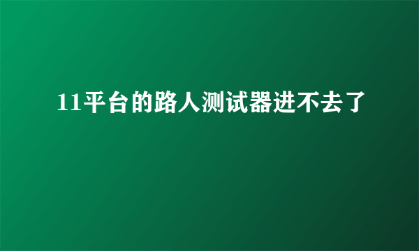 11平台的路人测试器进不去了