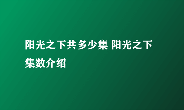 阳光之下共多少集 阳光之下集数介绍