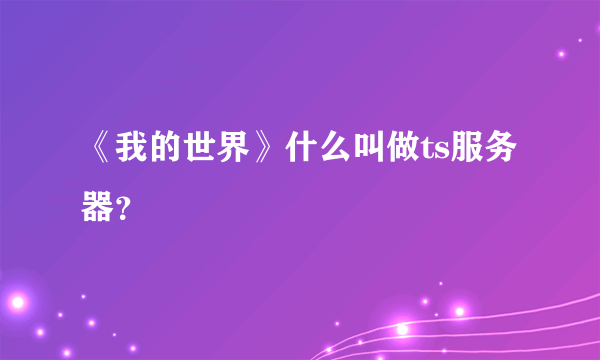 《我的世界》什么叫做ts服务器？