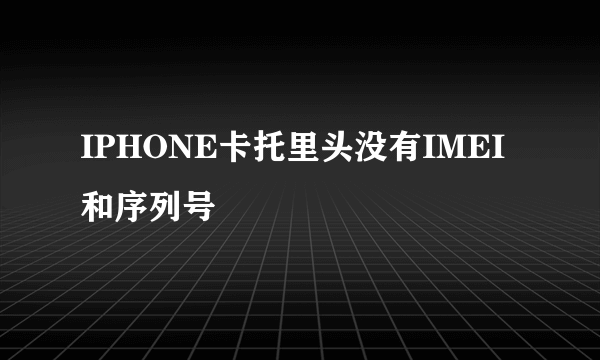 IPHONE卡托里头没有IMEI和序列号