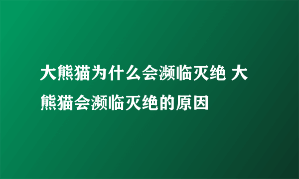 大熊猫为什么会濒临灭绝 大熊猫会濒临灭绝的原因