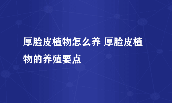 厚脸皮植物怎么养 厚脸皮植物的养殖要点