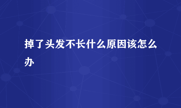 掉了头发不长什么原因该怎么办