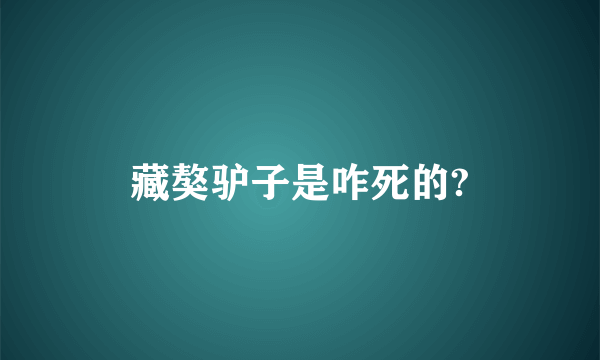 藏獒驴子是咋死的?