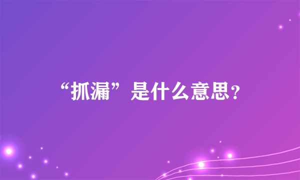 “抓漏”是什么意思？