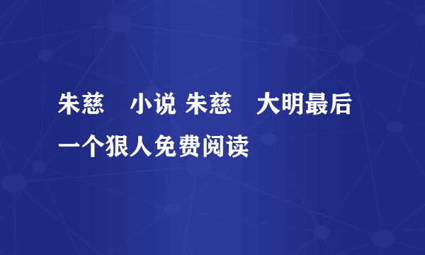 朱慈烺小说 朱慈烺大明最后一个狠人免费阅读