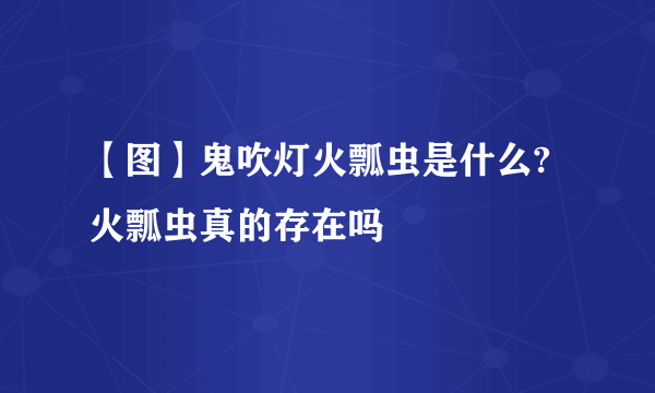 【图】鬼吹灯火瓢虫是什么?火瓢虫真的存在吗