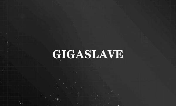 GIGASLAVE