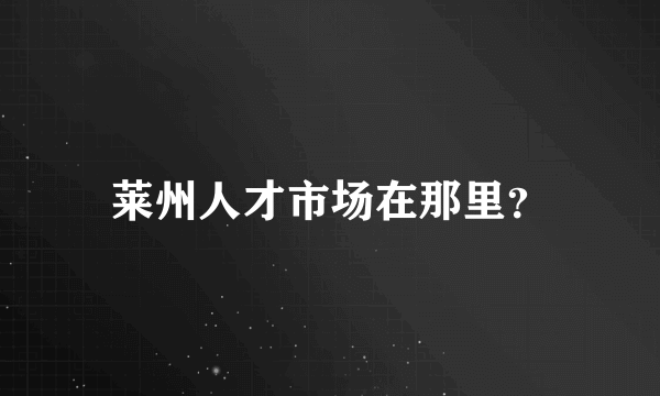 莱州人才市场在那里？