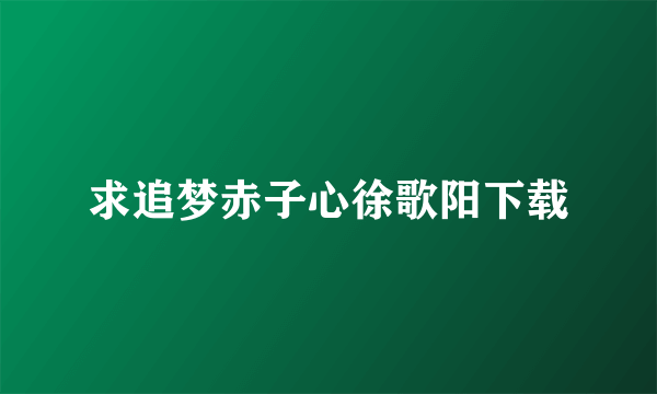 求追梦赤子心徐歌阳下载