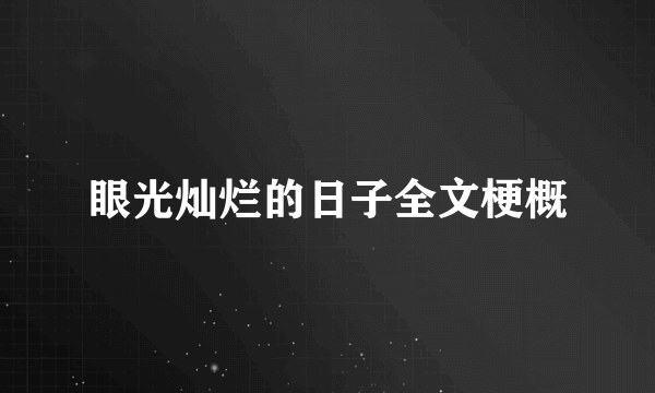 眼光灿烂的日子全文梗概