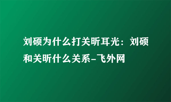 刘硕为什么打关昕耳光：刘硕和关昕什么关系-飞外网