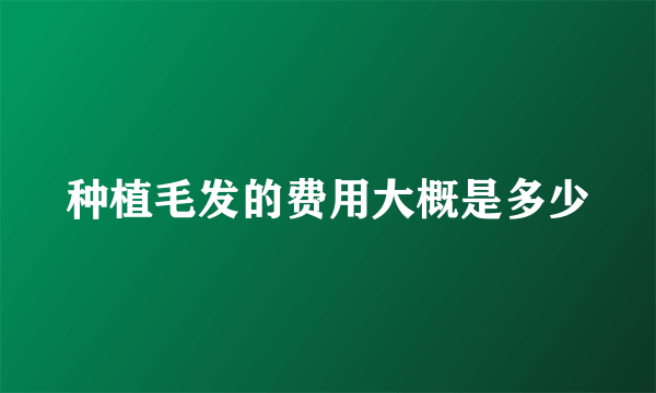 种植毛发的费用大概是多少