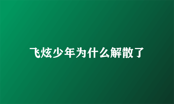 飞炫少年为什么解散了