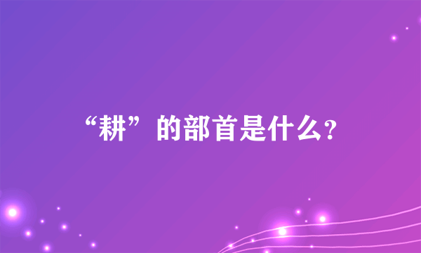 “耕”的部首是什么？