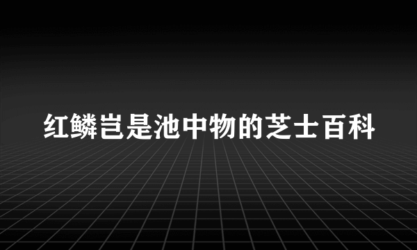 红鳞岂是池中物的芝士百科