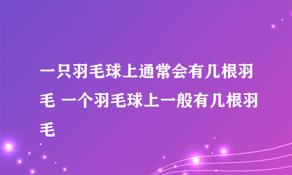 一只羽毛球上通常会有几根羽毛 一个羽毛球上一般有几根羽毛