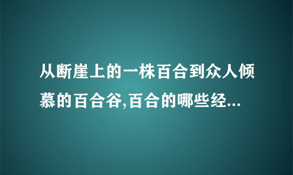 从断崖上的一株百合到众人倾慕的百合谷,百合的哪些经历深深触动了你或给了你启示谈一