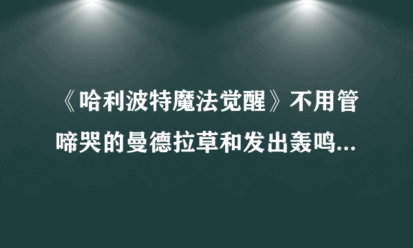 《哈利波特魔法觉醒》不用管啼哭的曼德拉草和发出轰鸣声的水仙花拼图线索坐标