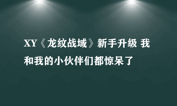 XY《龙纹战域》新手升级 我和我的小伙伴们都惊呆了