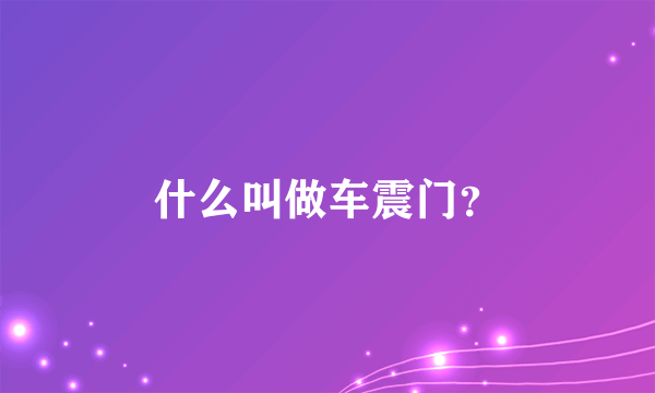 什么叫做车震门？