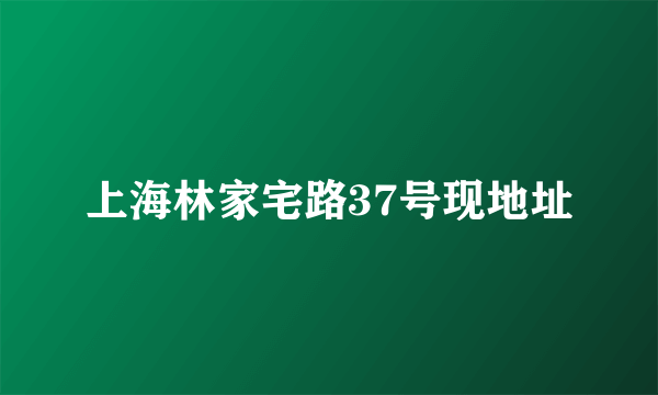 上海林家宅路37号现地址