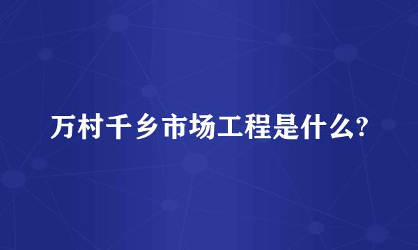 万村千乡市场工程是什么?