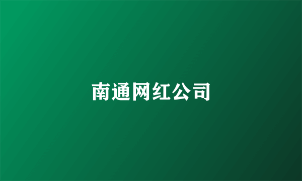 南通网红公司