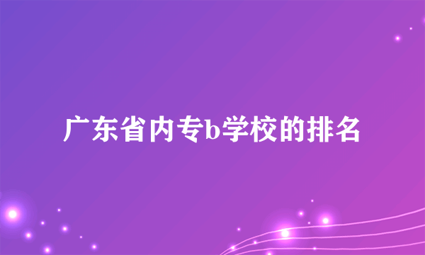 广东省内专b学校的排名