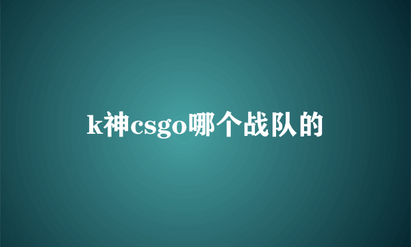 k神csgo哪个战队的