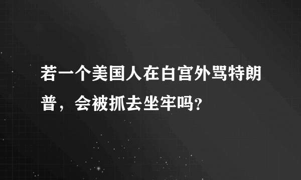 若一个美国人在白宫外骂特朗普，会被抓去坐牢吗？