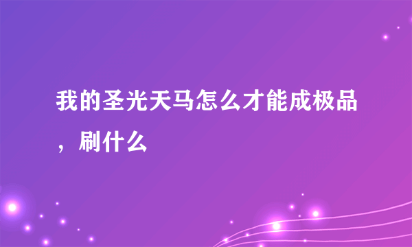 我的圣光天马怎么才能成极品，刷什么