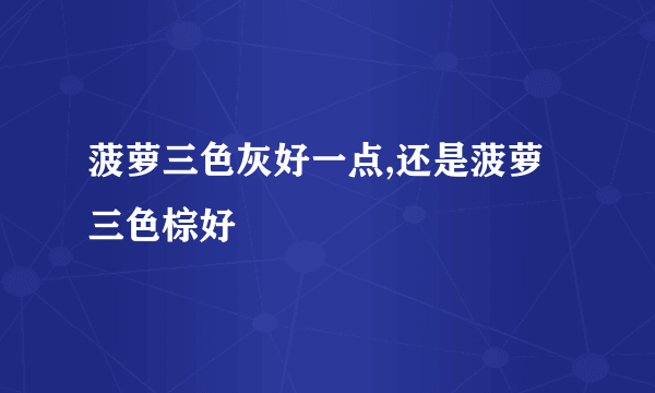 菠萝三色灰好一点,还是菠萝三色棕好