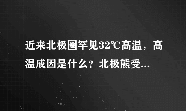 近来北极圈罕见32℃高温，高温成因是什么？北极熊受此影响会走向灭绝吗？