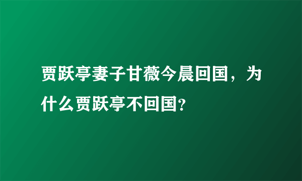 贾跃亭妻子甘薇今晨回国，为什么贾跃亭不回国？